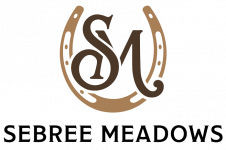 SM_Primary_Logo_Color-1